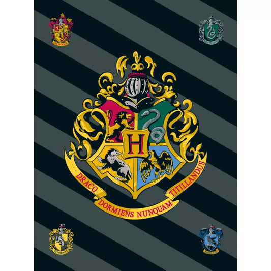 Harry Potter schwarz Polar-Fleecedecke 100x150cm