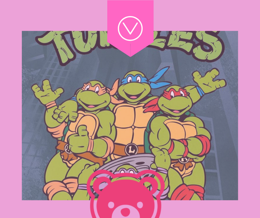 Kids Loves Ninja Turtles Secret Balls